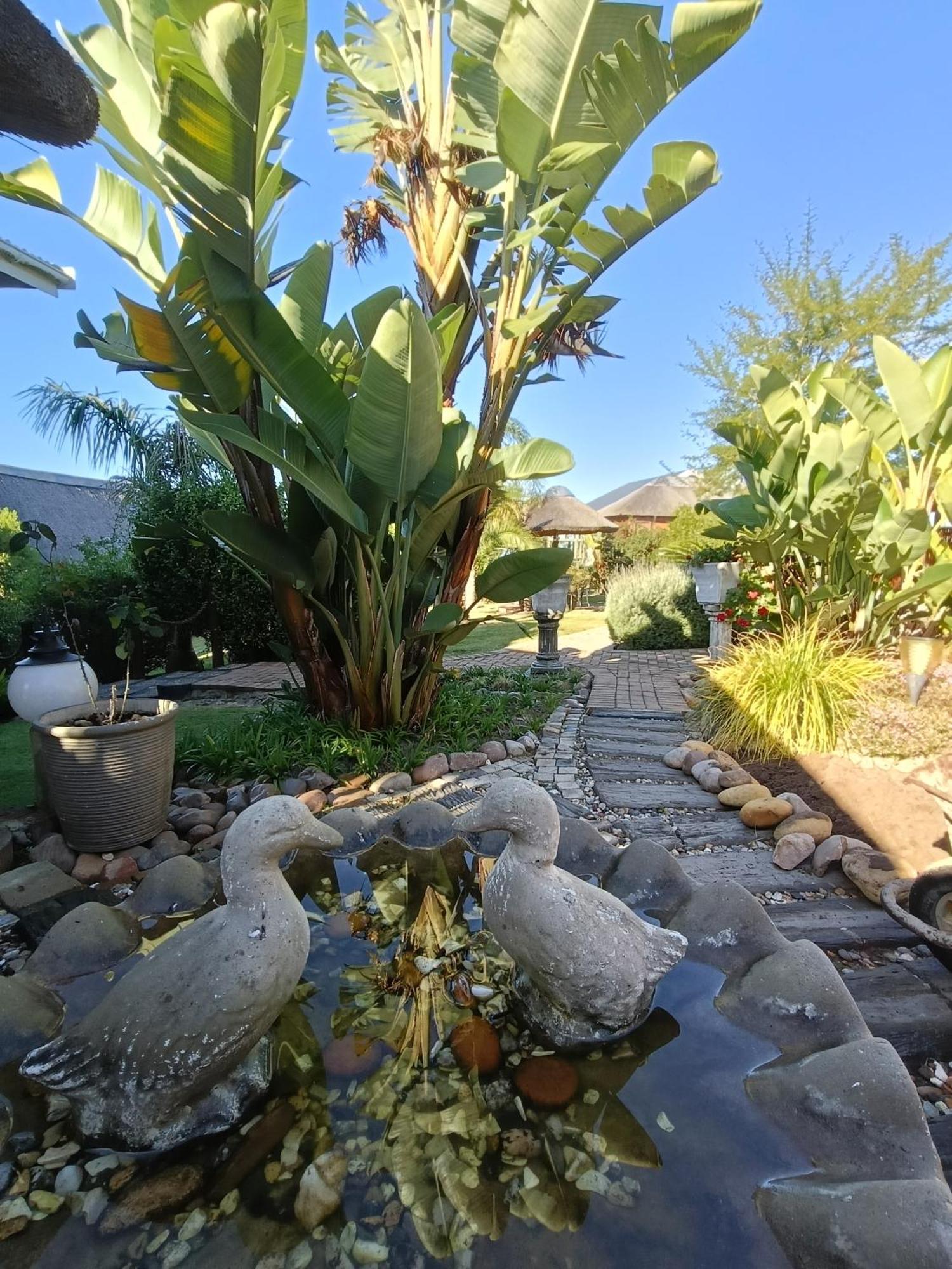 The Owls Inn Country Villa'S George Exteriör bild